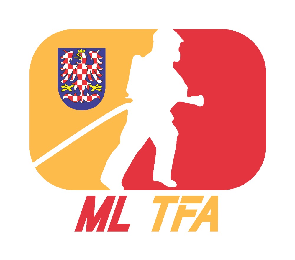 logo ligy